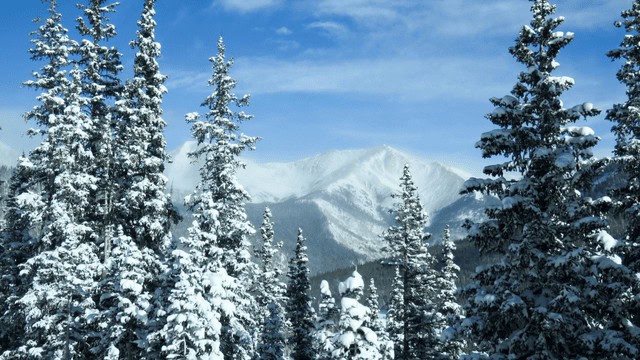 Colorado Christmas