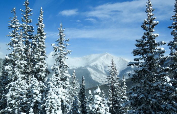 Colorado Christmas