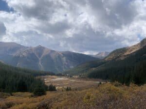 foliage in Colorado's mountains