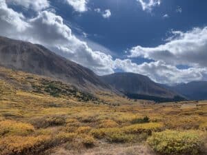 Colorado fall foliage 