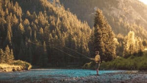 Fly Fish Colorado