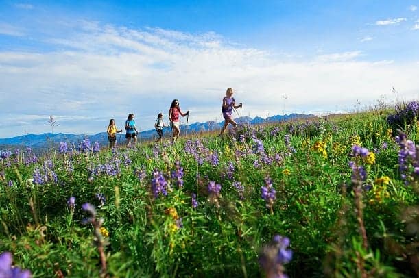 Vail Colorado Hiking