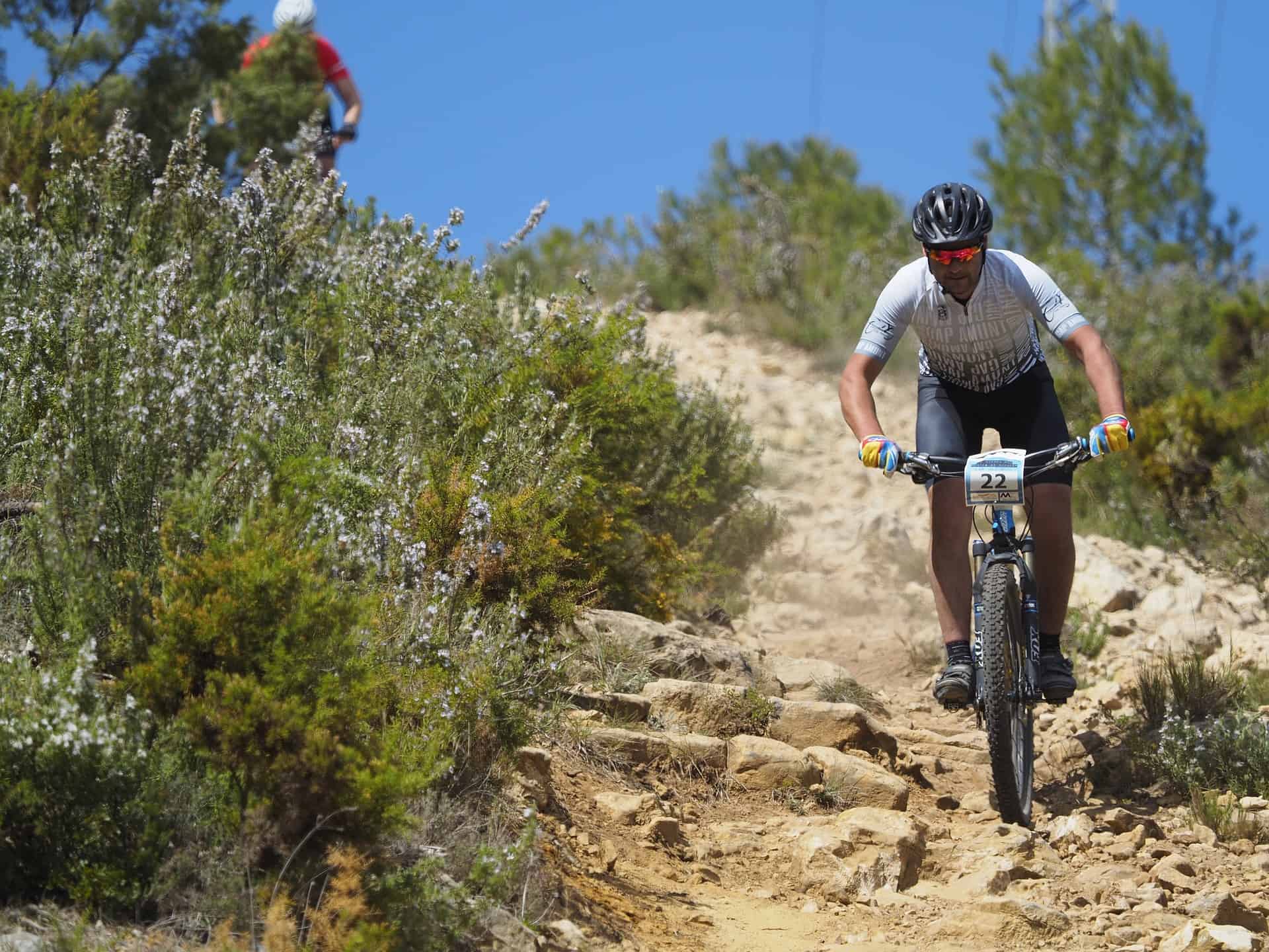 Mountain Biking Colorado