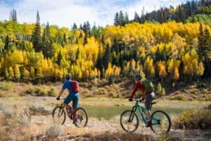 two people biking through fall colors