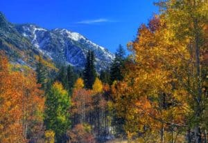 Colorado in the fall