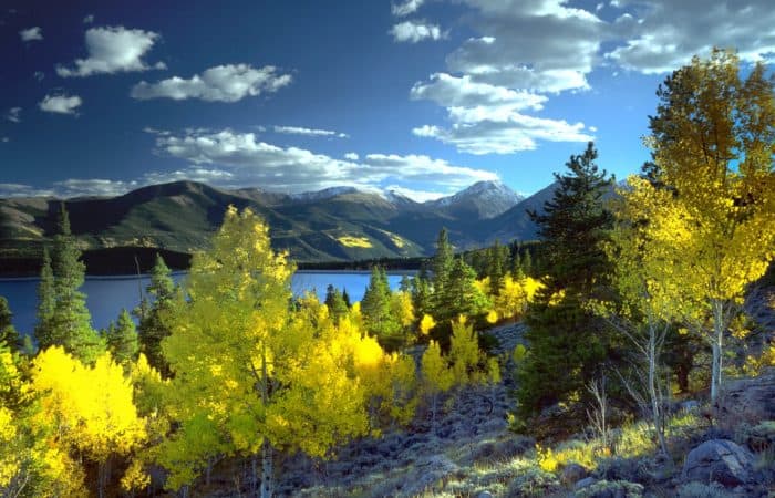 Twin Lakes in the summer with bright trees in the foreground