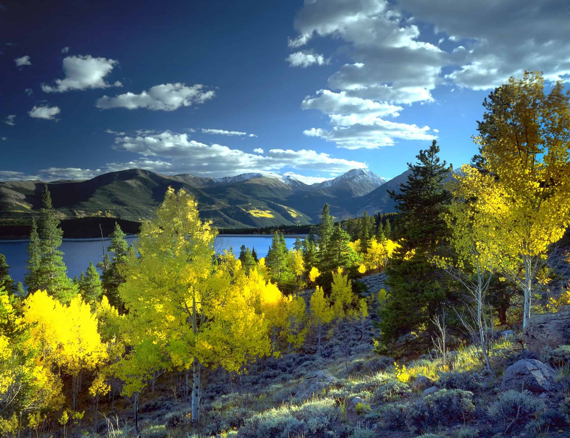 Twin Lakes in the summer with bright trees in the foreground