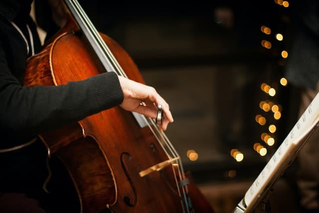 a person in a black hoodie playing a cello