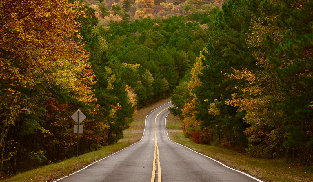 scenic fall drive