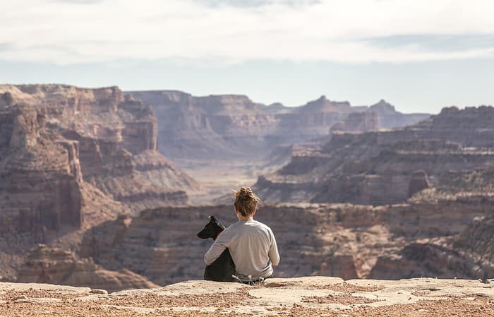 traveling with pets to colorado