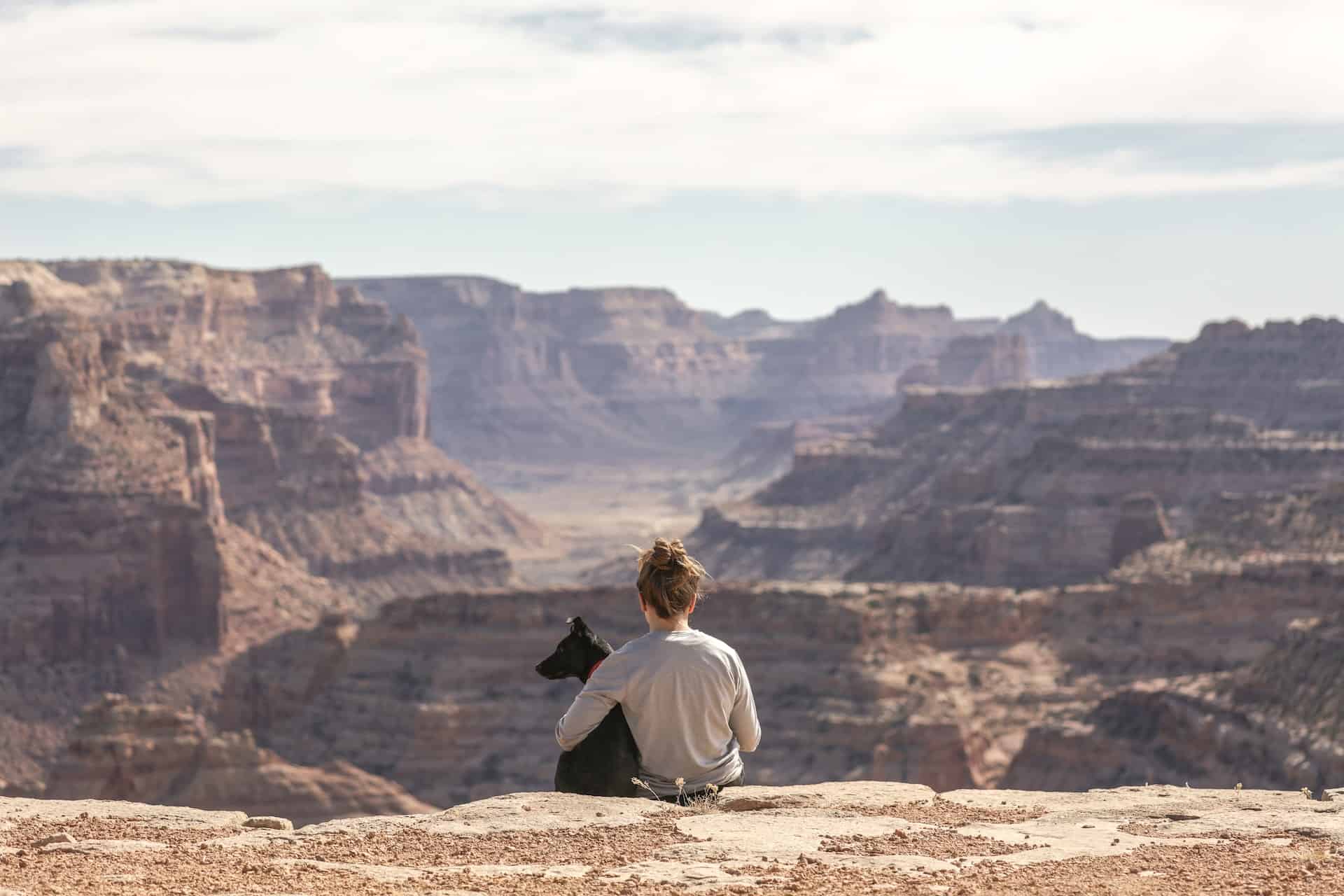 traveling with pets to colorado