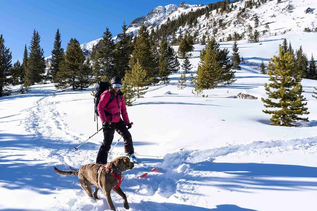 Woman skiing with dog in mountains