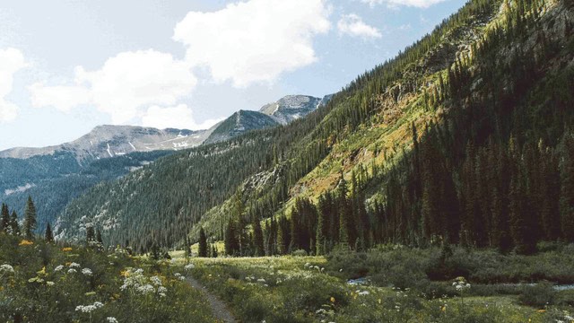 Colorado in summer