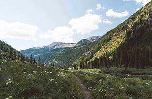 Colorado in summer