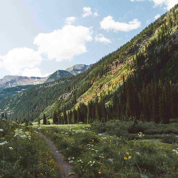 Colorado in summer