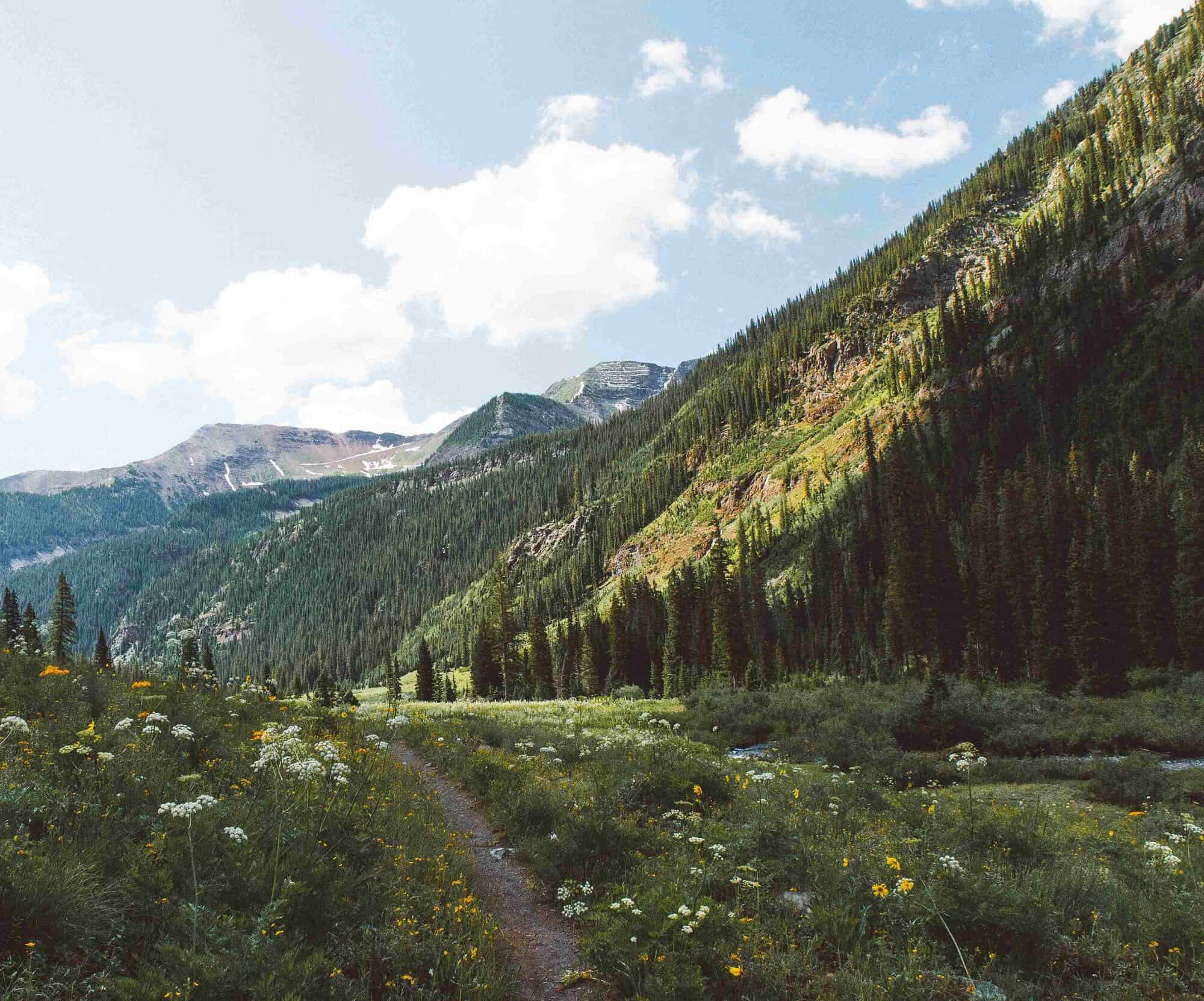 Colorado in summer