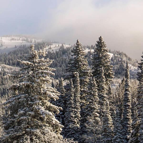 Frisco Colorado