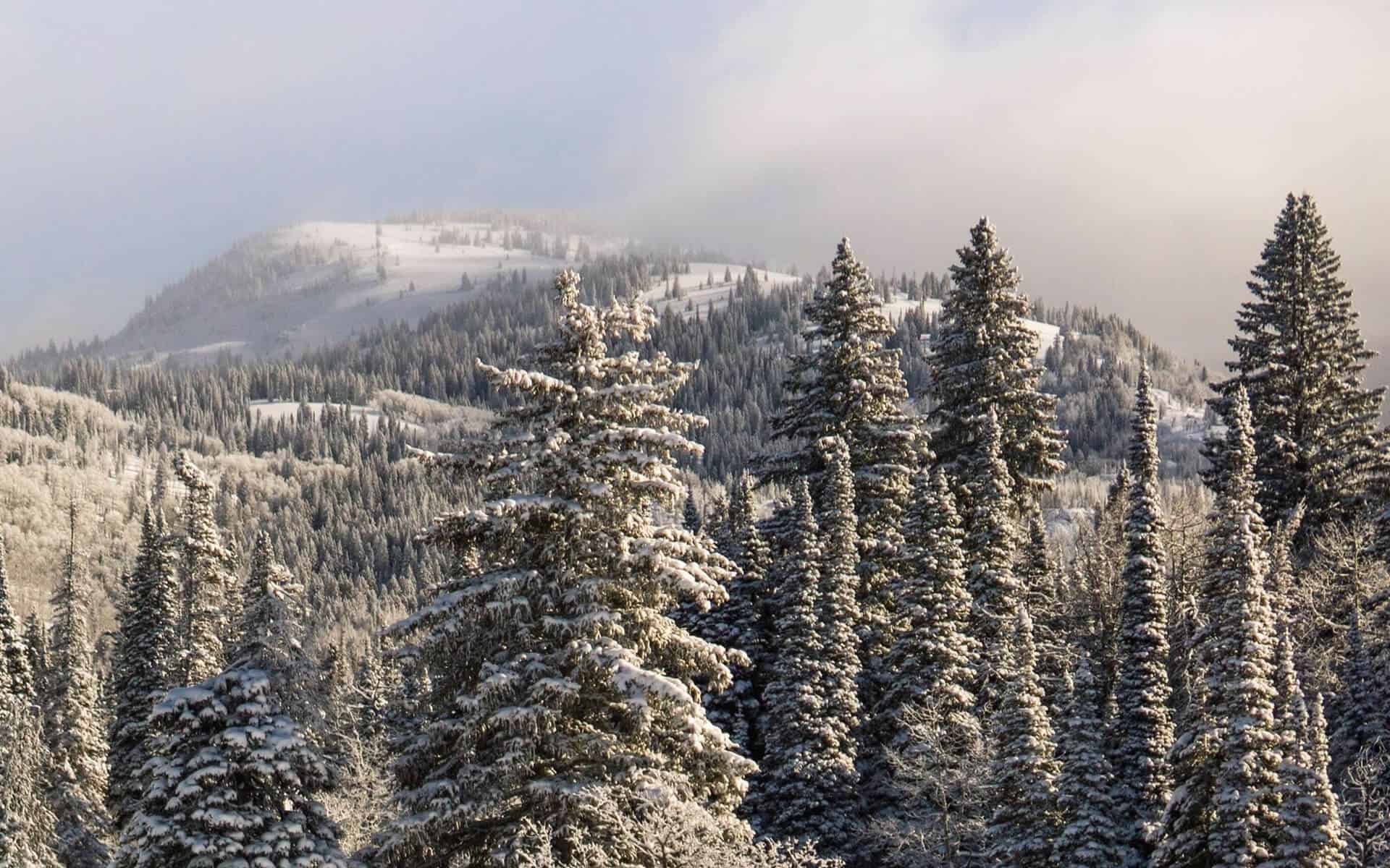 Frisco Colorado