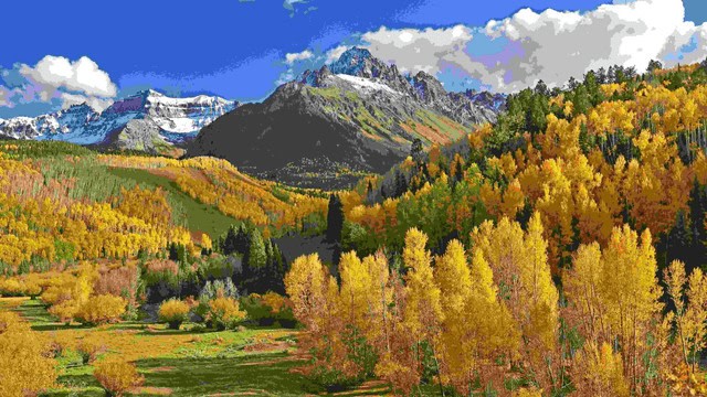 aspens in fall colorado