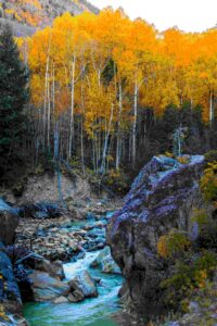 aspen colorado