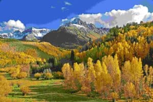 aspens in fall colorado