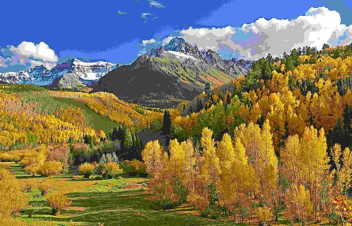 aspens in fall colorado