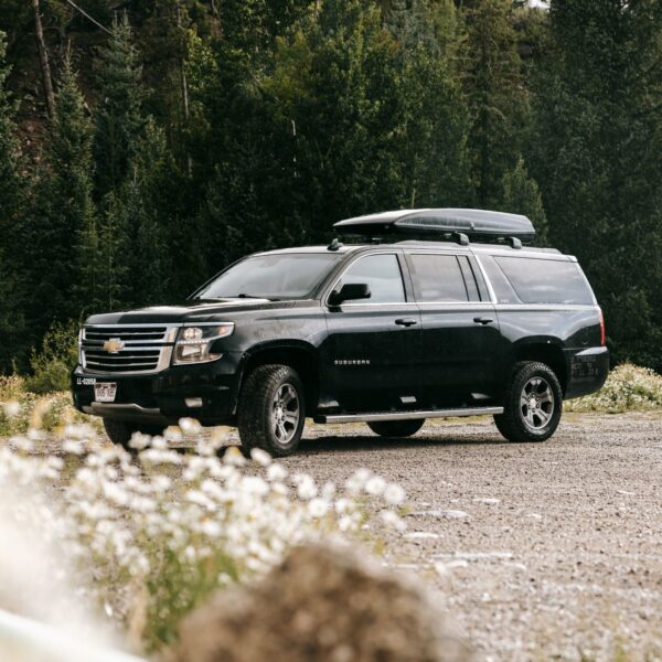 Black SUV in a forest