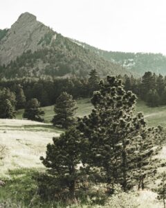 Rocky Mountain during the Spring